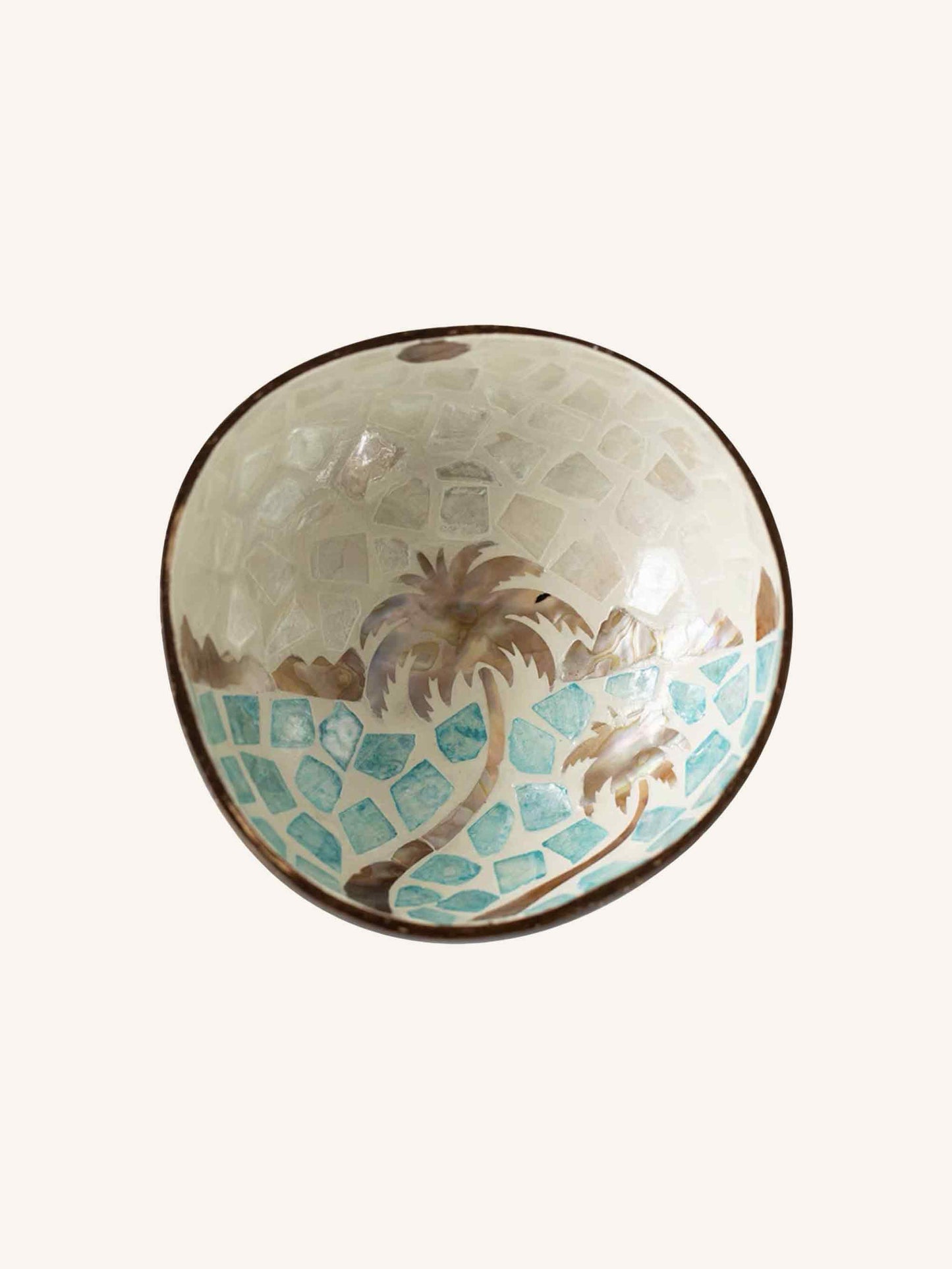 Handmade Natural Shell Coconut Bowl