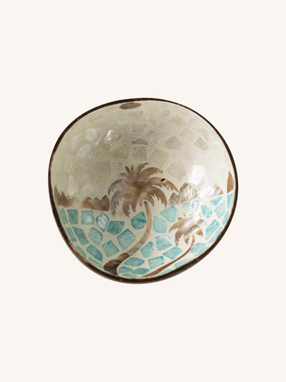 Handmade Natural Shell Coconut Bowl